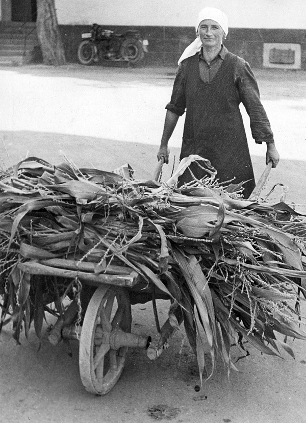 OB KW36 OGK 04004 fb